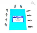 Trhací šroub QRH100030 Trhací šroub QRH100030