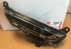 Lev pedn mlhovka LR119470